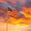 firecracker_87